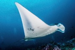 Séjour plongée à Tofo avec Tofo Scuba