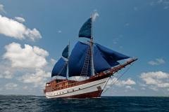 Indonésie - Croisière Raja Ampat Tambora Dive